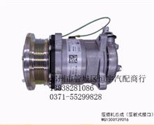 中国重汽豪沃压缩机总成（压板式接口）WG1500139016WG1500139016