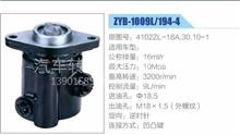 朝柴4102ZL发动机凹凸键方向机转向助力泵，叶片泵 ZYB-1009L19-44102ZL-18A.30.10-1