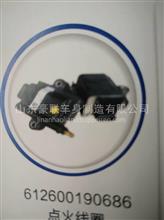 重汽豪沃T7H智能高压线厂家直销价格图片61260019100713573136000