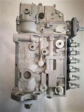 康明斯6BTAA5.9-C205工程机械燃油喷射泵C5266036