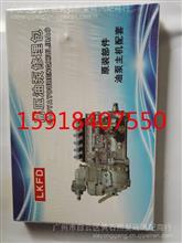 中国重汽亲人WD615高压油泵修理包/VG1560080022