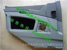 陕汽德龙X3000左车门内护板总成（电动）DZ14251330061
