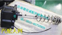 中国重汽豪沃T7H尿素液位传感器WG1034120181+011