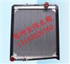 汽车水箱散热器 重汽金王子 散热器WG9123530303 0301/质量三包