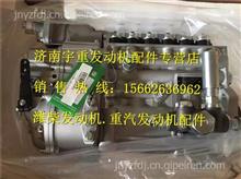 潍柴WD618高压油泵612600081235612600081235