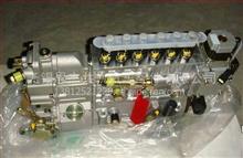 喷油泵总成（两气门EGR96机）VG1096080130