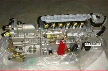 VG1560080020喷油泵带全程K型调速器（STR62   HOWO62）VG1560080020