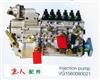 喷油泵带全程K型调速器（STR87   HOWO87）/VG1560080021