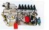 VG1560080022喷油泵带全程K型调速器（STR69   HOWO69）/VG1560080022
