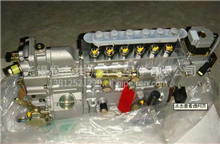 VG2600081161喷油泵CB6P824