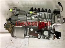 中国重汽亲人WD615高压油泵VG1095080100