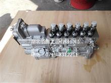 6BTAA5.9-C130燃油泵49887594988759