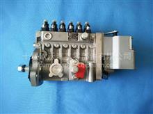 供应东风康明斯6CT8.3-G发电机组高压油泵总成C5258153