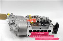 燃油泵VG1095080190 重汽重油燃油泵 喷油器大全燃油泵VG1095080190