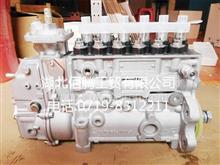 康明斯6CT工程机械燃油泵49887584988758