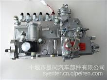 供应东风天龙天锦大力神东风康明斯发动机配件燃油泵/高压油泵C5264184