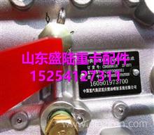 VG1557080130中国国重汽杭发EGR喷油泵总成VG1557080130