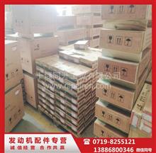 SGA3722北京首鋼重汽康明斯QSX15發動機機油濾清器冷卻器405954405954