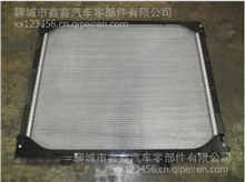 供應中國陜汽德龍M3000冷卻系統配件DZ95259532213散熱器總成DZ95259532213廠家直銷