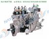 玉柴原厂高压油泵 YC4F F3000-1111100B-172/F3000-1111100B-172