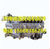 M7300-1111100-C27玉柴M7300发动机燃油泵总成 /M7300-1111100-C27