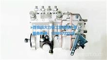 南岳衡阳高压油泵 B4AAD545   厂家一级代理  质保原装 优势批发13022616