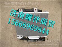 LG1611822103重汽豪沃HOWO轻卡冷凝器总成 LG1611822103
