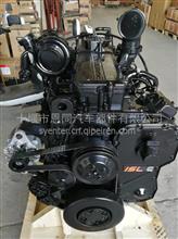 874RZL-15-000适用于无锡动力机油泵874RZL-15-000