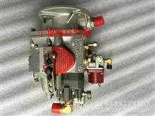KTA38-M950重庆发动机PT燃油泵40609654060965