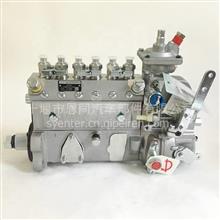 供应东风康明斯发动机配件6BT5.9燃油泵/高压油泵/柴油泵C3973198