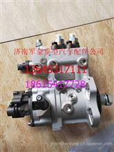 重汽豪沃D10.38发动机高压油泵总成豪沃电喷高压油泵04450202160445020216