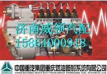 HG1523089005中国重汽杭发船机工程机械喷油泵总成HG1523089005
