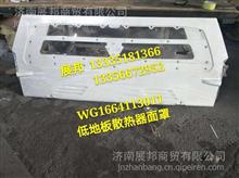 WG1664113011 重汽汕德卡C7H 低地板散热器面罩WG1664113011
