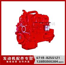 重庆康明斯NT855-P360发动机总成适配动力机组-水泵(裸机）SO15481NT855-P360