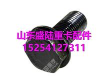 080V90020-0335中国重汽曼发动机 MC05飞轮螺栓080V90020-0335