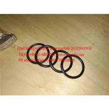 Injector seal ring  大柴CA4DC2-12E3 --喷油器密封环CA4DC2-12E3 