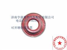 中国重汽曼发动机配件    气门杆密封套 080V04902-0034