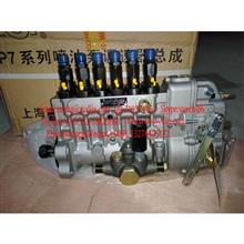 High pressure pump 9400360789、P76G11-38P360IR010 -高压油泵上柴D6114ZG9B