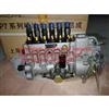 High pressure pump 9400360789、P76G11-38P360IR010 -高压油泵 上柴D6114ZG9B