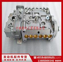 康明斯QSB5.9发动机配件北京天纬系列燃油泵总成52682025268202