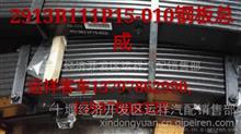 原厂直销  东风天锦大运十通钢板总成2913B11P15-010