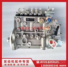 康明斯290马力电控发动机燃油泵1101D5-031钻机柴油1101D5-031