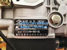 龙口高压油泵 VE2201  型号：VE4/11F1700LLD04  原装正品1111100-E03-E1 
