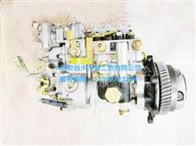 龙口高压油泵 BP1988 （4缸、PM泵、配锡柴）  原装正品型号：1111100AA3C-0000M