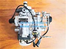 龙口高压油泵 VE2561 型号：VE4/11E1200RLD61 原装正品AKAA90070（莱动专供）