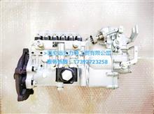 龙口高压油泵 BP1225 （6缸、EP9泵、配华丰）  原装正品型号：6R4ZLD310100
