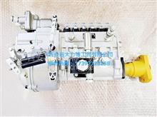 龙口高压油泵 BP11B2 （6缸、EP9泵、配潍柴）  原装正品型号：612601080249
