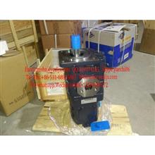 Gear pump  W-01-00160 , CBGJ2100/1016C-XF , CBJG2100/1016常林--齿轮泵