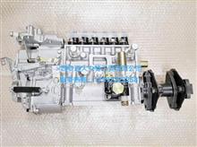 龙口高压油泵 BP5C04 （6缸、P7100泵、配锡柴）  原装正品型号：1100010-47J-229KAL