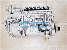 龙口高压油泵 BP2270A （6缸、PZ泵、配锡柴）  原装正品型号：1111010B63J-0000